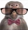 brideofire's profile picture