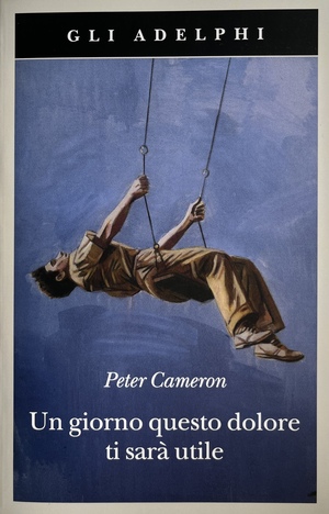 Un giorno questo dolore ti sarà utile by Peter Cameron