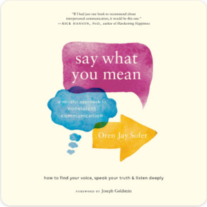 Say What You Mean: A Mindful Approach to Nonviolent Communication by Oren Jay Sofer