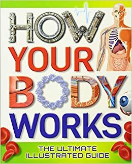 How Your Body Works: The Ultimate Illustrated Guide by Thomas Canavan