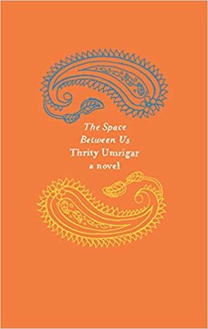 The Space Between Us by Thrity Umrigar