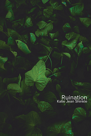 Ruination by Katie Jean Shinkle