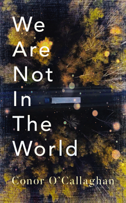 We Are Not in the World: 'compelling and Profoundly Moving' Irish Times by Conor O'Callaghan