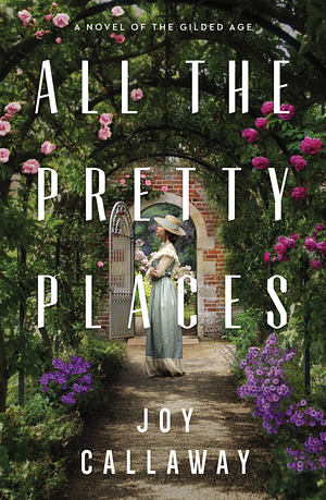 All the Pretty Places: A Novel of the Gilded Age by Joy Callaway