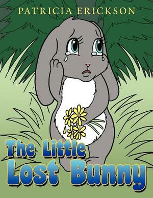 The Little Lost Bunny by Patricia Erickson
