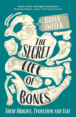 The Secret Life of Bones by Brian Switek