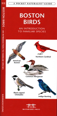 Boston Birds: A Folding Pocket Guide to Familiar Species by James Kavanagh, Waterford Press