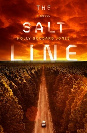 The Salt Line by Holly Goddard Jones