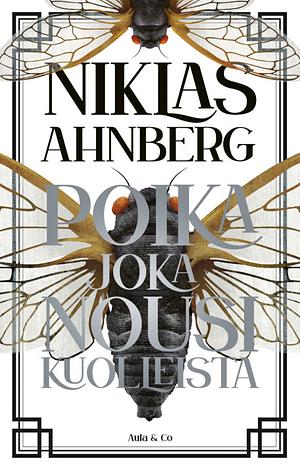 Poika joka nousi kuolleista by Niklas Ahnberg