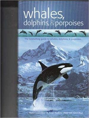 Whales, Dolphins, & Porpoises by Mark Carwardine, R. Fordyce, Erich Hoyt, Peter Gill