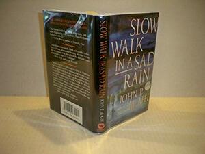 Slow Walk In A Sad Rain by John P. McAfee