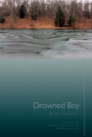 Drowned Boy: Stories by Jerry Gabriel, Andrea Barrett