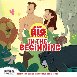 In the Beginning, One Big Story Board Book by B&h Kids Editorial