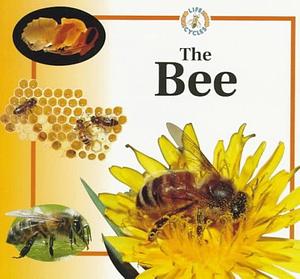 The Bee by Sabrina Crewe