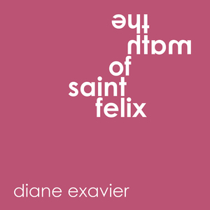 The Math of Saint Felix by Diane Exavier