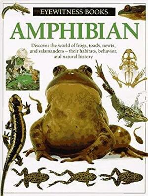 Amphibian by Barry Clarke