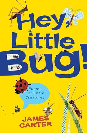 Hey Little Bug: Poems for Little Creatures by James Carter