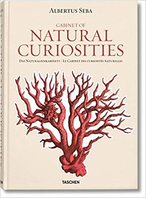 Cabinet of Natural Curiosities by Rainer Willmann, Albertus Seba
