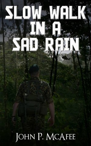Slow Walk in a Sad Rain by John P. McAfee