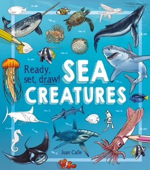 Ready, Set, Draw! Sea Creatures by Juan Calle, William C. Potter