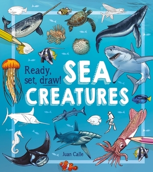 Ready, Set, Draw! Sea Creatures by William C. Potter, Juan Calle