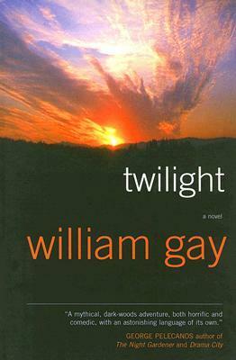 Twilight: A Novel by William Gay