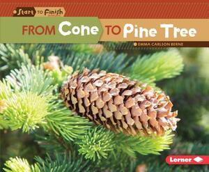 From Cone to Pine Tree by Emma Carlson-Berne