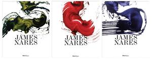 James Nares by Glenn O'Brien, Amy Taubin, Ed Halter