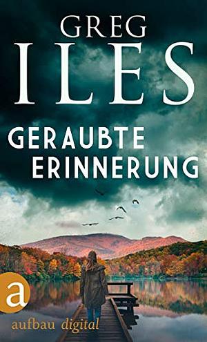 Geraubte Erinnerung by Greg Iles