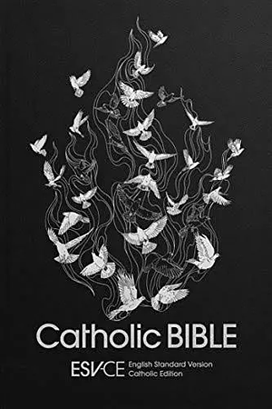 ESV-CE Catholic Bible, Anglicized Standard Hardback by Roman Catholic Church