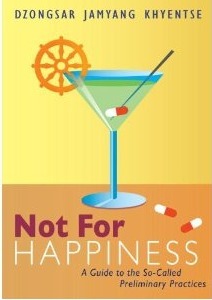 Not For Happiness: A Guide to the So-Called Preliminary Practices by Dzongsar Jamyang Khyentse