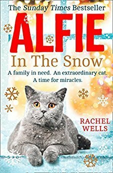 Alfie in the Snow by Rachel Wells