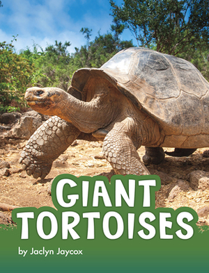 Giant Tortoises by Jaclyn Jaycox