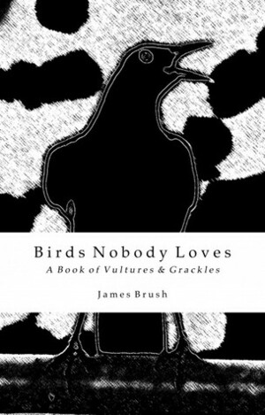 Birds Nobody Loves by James Brush