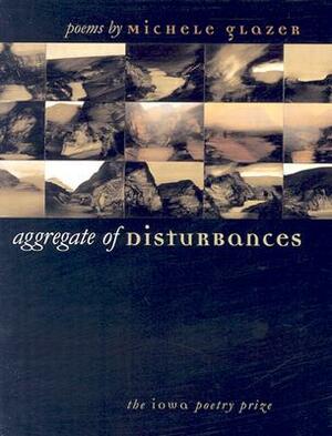 Aggregate of Disturbances by Michele Glazer