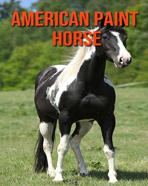 American Paint Horse: Children Book of Fun Facts & Amazing Photos by Kayla Miller