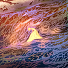 youranforit's profile picture