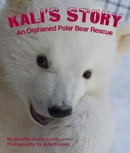 Kali's Story: An Orphaned Polar Bear Rescue by Jennifer Keats Curtis, John Gomes