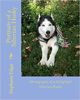 Portraits of a Siberian Husky by Stephanie Edgar
