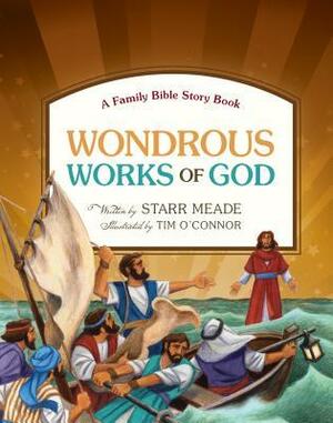 Wondrous Works of God: A Family Bible Story Book by Starr Meade