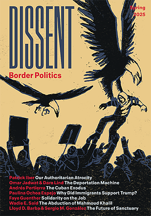 Dissent: Border Politics by Natasha Lewis, Patrick Iber