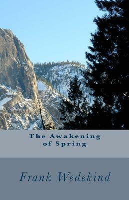 The Awakening of Spring by Frank Wedekind