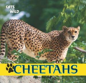 Cheetahs by Henry Randall