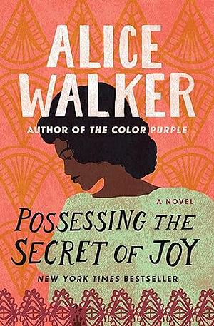 Possessing the Secret of Joy by Alice Walker