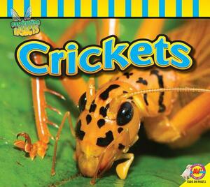 Crickets by John Willis