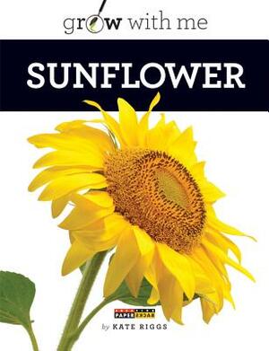 Sunflower by Kate Riggs