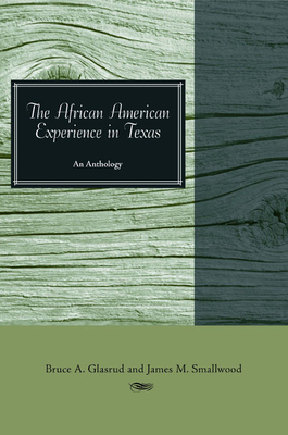 The African American Experience in Texas: An Anthology by 