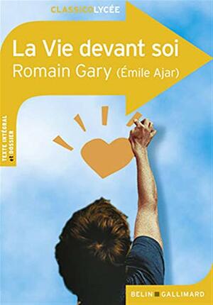 La vie devant soi by Domenica Brassel, Romain Gary