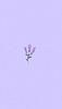cee_aura's profile picture