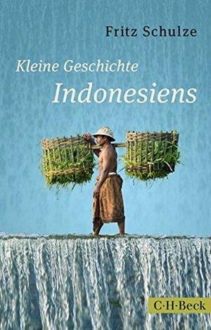 Kleine Geschichte Indonesiens: Von den Inselkönigreichen zum modernen Großstaat by Fritz Schulze
